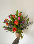 Spring Tulip Bundle